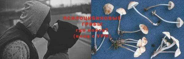 дмт Белоозёрский
